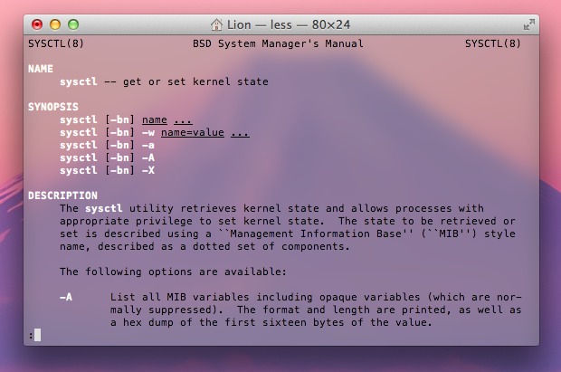 OS X Lion Terminal screenshot